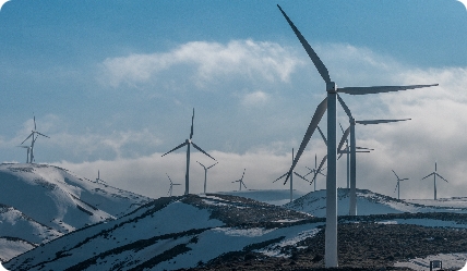 Cảm Biến & Giám Sát Rung Turbine Gió