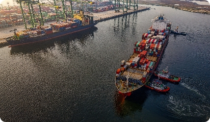 Cảm Biến và Giám Sát Rung Biển