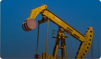 Cảm Biến Rung Dầu Khí